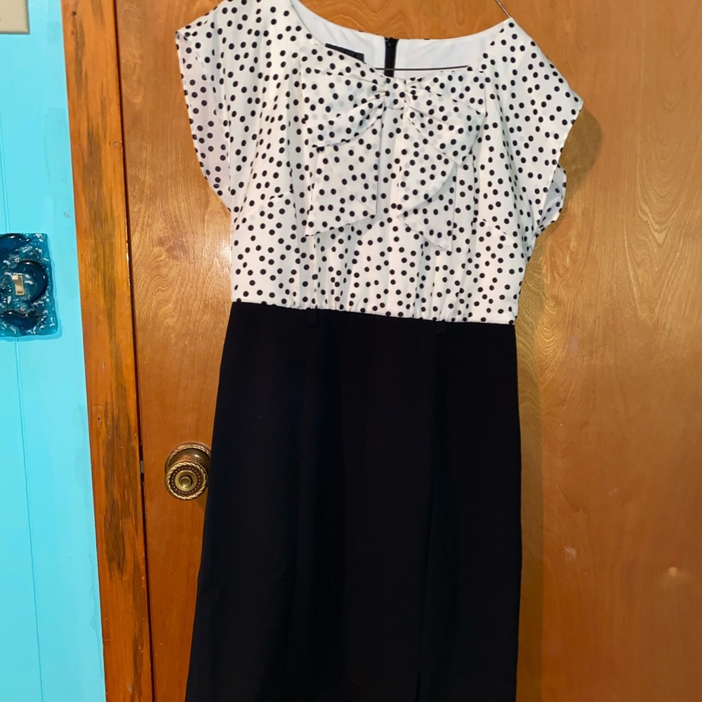 Alyx petite size 8P polka dot dress